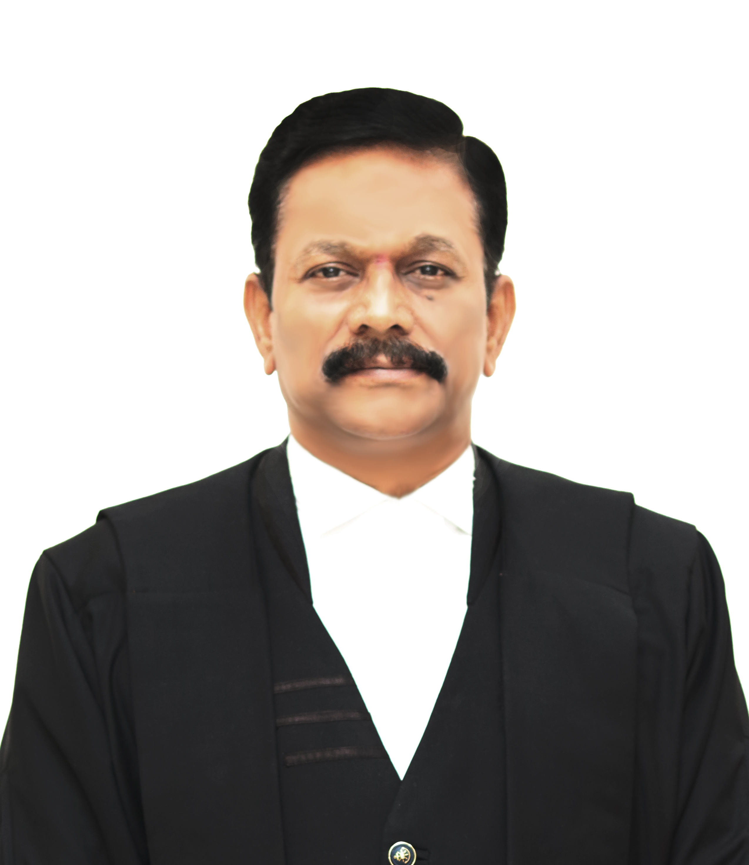 Hon'ble Sri Justice K Sreenivasa Reddy